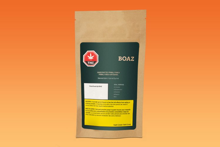 mvp_boaz-bag